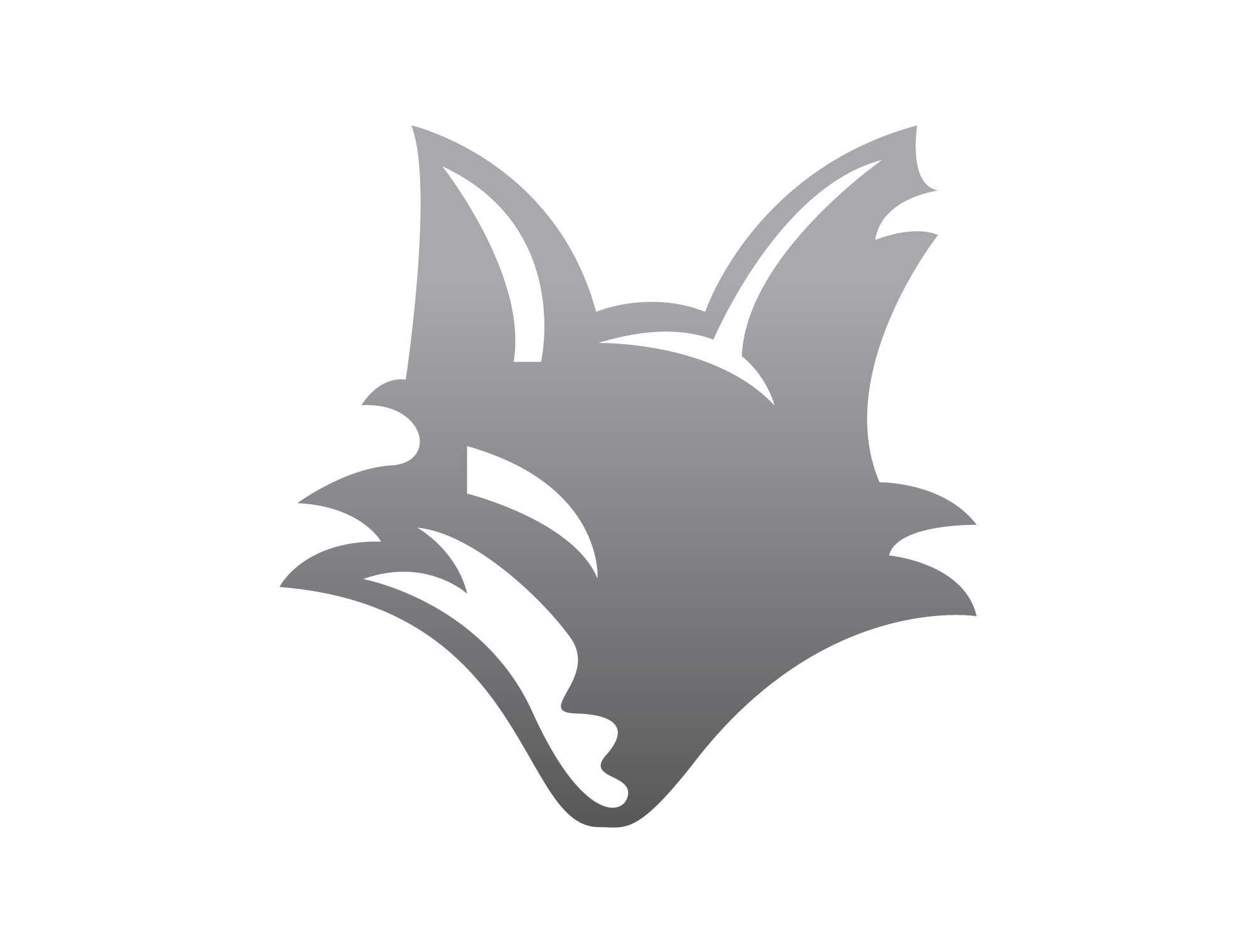 Silverfox Management